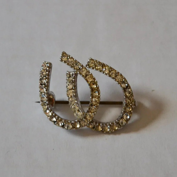 Rhinestone  Horseshoes Pin - Picture 1 of 4